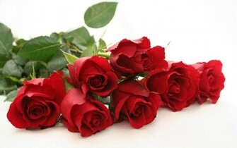 Wallpaper Red Rose