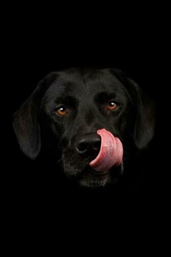 Best Image About Smartphone Wallpaper On