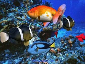 109071d1339742750 Tropical Fish Wallpaper Pics Jpg