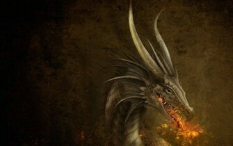 Flame Dragon Head Dragons Wallpaper