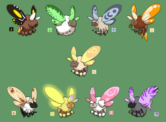 Abundant Shag Moths By Lollymote
