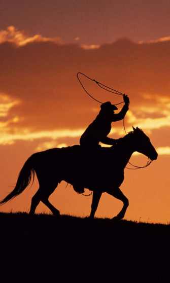 Saddle Up And Get Ready To Ride With This Cowboy iPhone