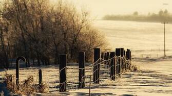 Snowy Field Wallpaper Photography