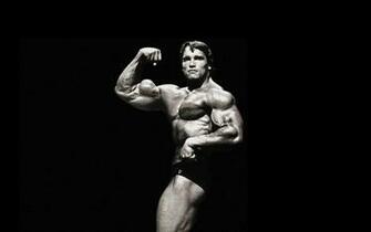 Arnold Schwarzenegger Wallpaper