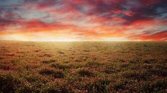 Desktop Nexus Nature Background Image HD Wallpaper Site