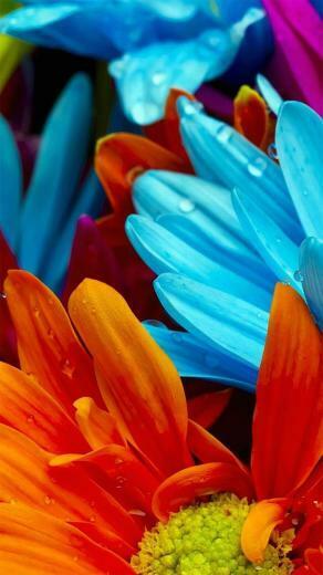 Best X HD Wallpaper For Galaxy S6 Lg G4 Htc One M9
