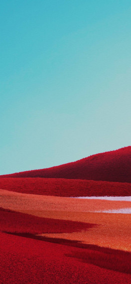 Red Field Google Pixel Background 9nbhi2iszdeax34i Wallpaper