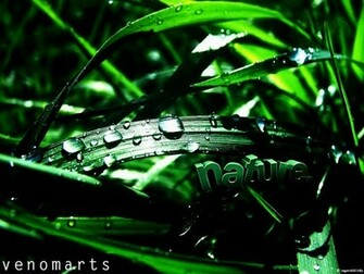 4d Wallpaper Nature