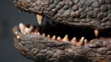 Original Godzillasaurus Head Godzilla