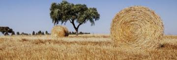 Activities Guided Tours And Day Trips In Alentejo Civitatis
