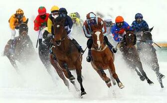 Horse Racing Wallpaper High Quality