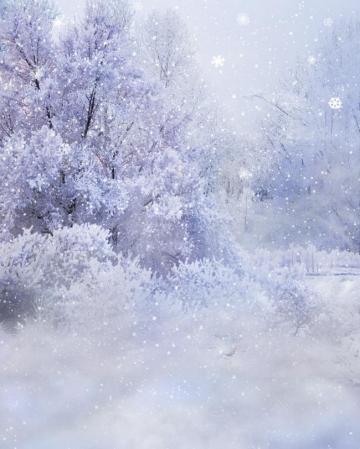 Winter Wonderland Background Butterflywebgraphics