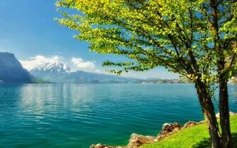 Beautiful Lake Of Mountain Forest Rivers Wallpaper