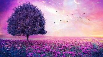 Purple Haze Wallpaper