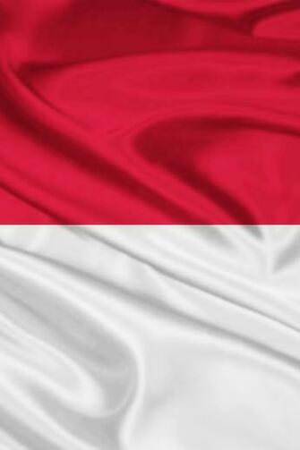 Indonesia Flag iPhone Wallpaper
