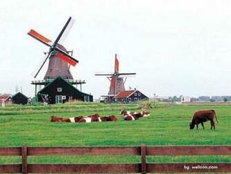 Wallpaper Netherlands Travel Photos Dutch Windmills And Rural