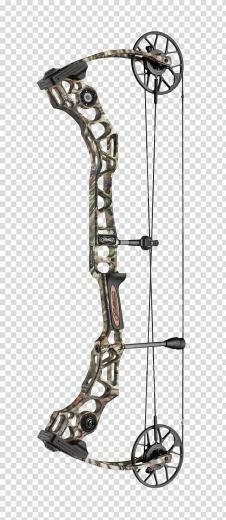 Compound Bows Bow And Arrow Bowhunting Archery Cam Sini Mathews