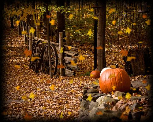 To Look And Feel A Lot Like Fall In The Canyon Used Be My