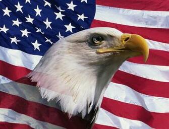 Eagle And Flag Graphics Code Comments Pictures