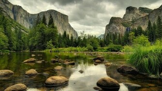 Forest Small River Desktop Wallpaper HD