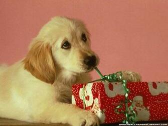 Christmas Dog Wallpaper Grasscloth