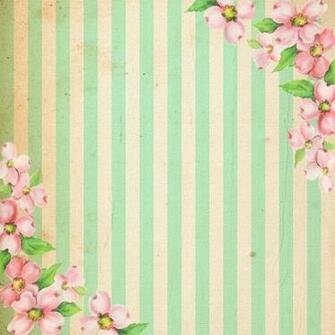 Ahora Unos Papeles Bien Shabby Para Sus Colecciones