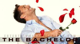 The Bachelor Wallpaper Desktop