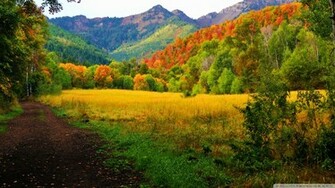 Canyon Fall Colors Wallpaper Provo