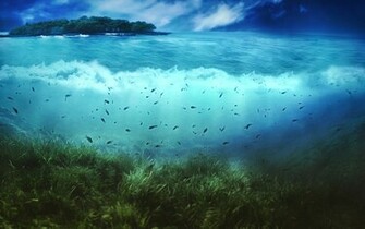 Sea World HD Wallpaper