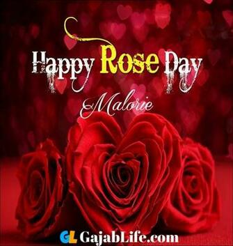 Malorie Happy Rose Day Best Wishes Image Picture And