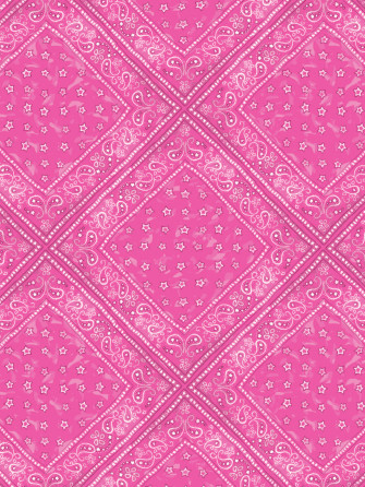 Barbie Bandana Wallpaper By Pink
