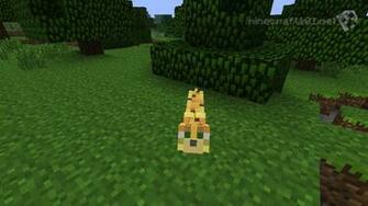 Minecraft Ocelot Wallpaper Baby