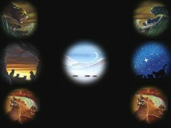 Warrior Cats Wallpaper Desktop Ing Gallery