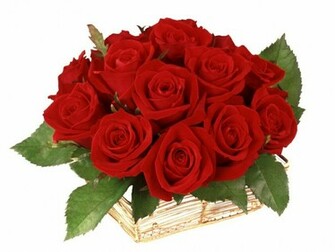 Flowers For Flower Lovers Red Roses Wallpaper