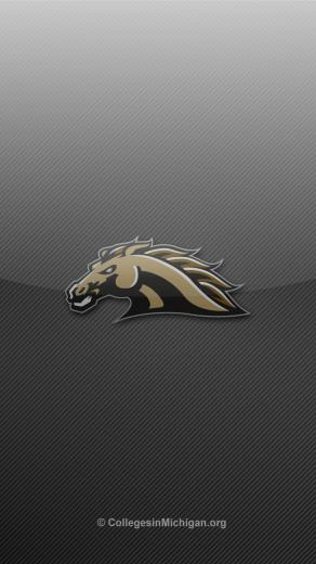 iPhone Wallpaper Western Michigan Wmu Broncos