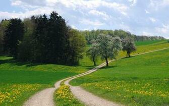 Country Road Wallpaper