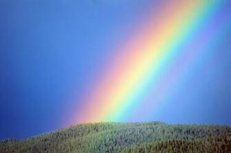 Rainbow Pictures For Desktop HD Wallpaper