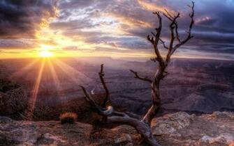 Phoenix Arizona Wallpaper Image