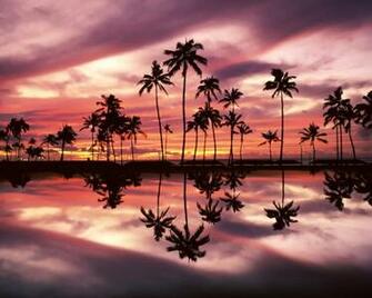 Sunset Over The Ala Moana Beach Park Honolulu Oahu Hawaii
