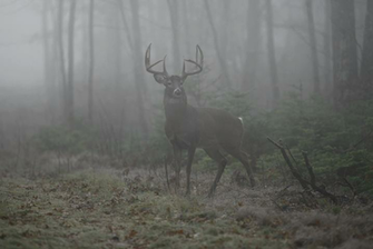 Hunting A Challenge By Choice Community Legendary Whitetails