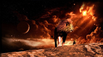 Angry Lion Wallpaper HD