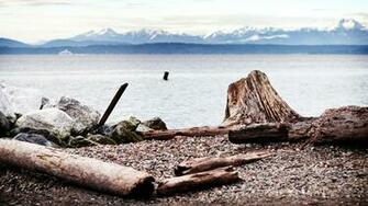 Resolution Seattle Mariners Stormy Limited P Bluray X