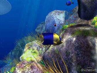 Under The Sea 3d Screensaver