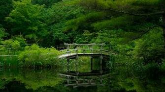 Nature Garden Reflection Wallpaper