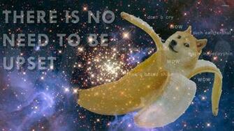 Doge Wallpaper Funny