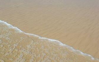 Sandy Wallpaper Styles