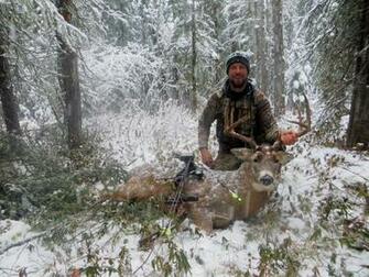 Gross Whitetail Deer In Central Alberta Canada By Wayne Brown