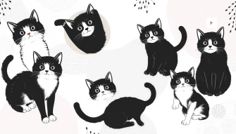Black And White Cat Wallpaper