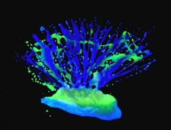 Glow In The Dark Body Painting Art Widescreen Wallpaper