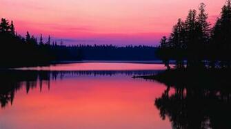 Pink Nature Wallpaper